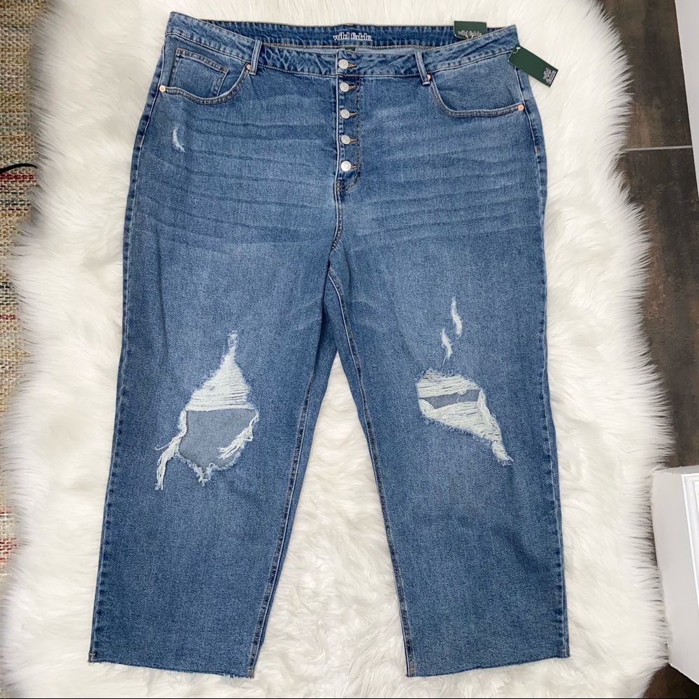 NWT Wild Fable ripped jeans size 26W